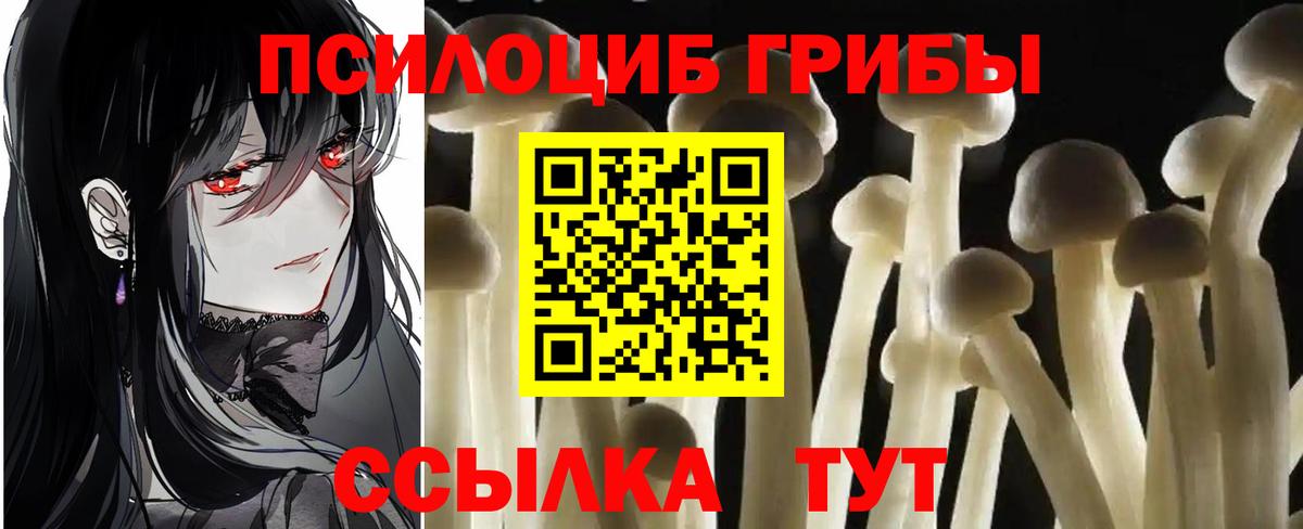 Псилоцибиновые грибы Cubensis Пушкино