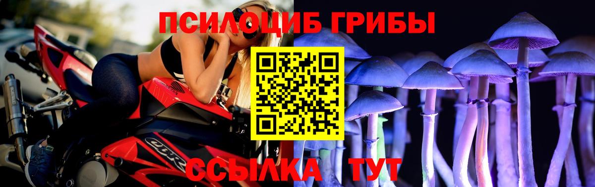 Пушкино  Псилоцибиновые грибы мицелий  Вход с VPN 