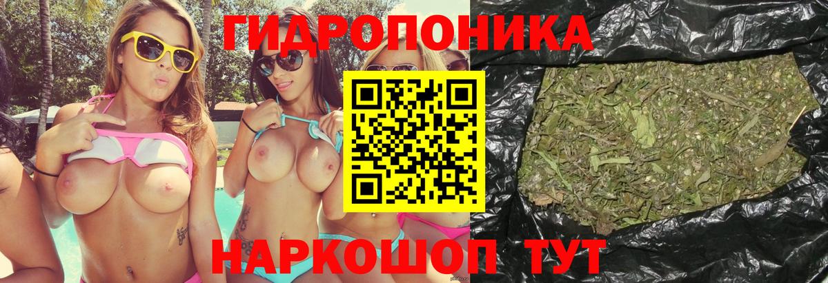 Марихуана план  Канабис сатива  Шишки марихуана конопля  Вход с VPN  Пушкино  МАРИХУАНА AK-47 